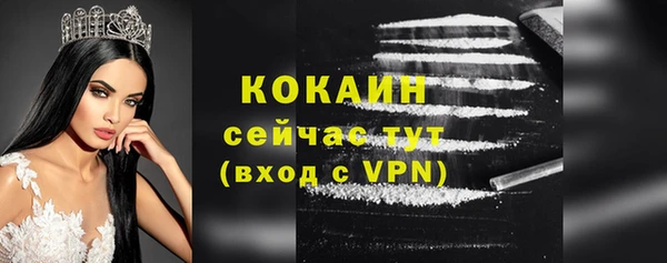 стафф Кинешма