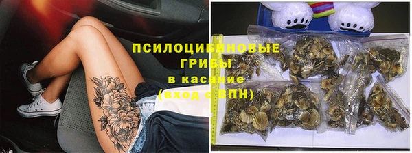 мяу мяу мука Кодинск
