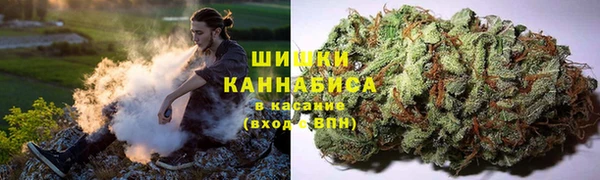 твердый Киреевск