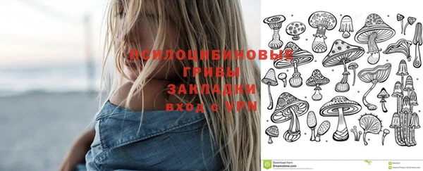 твердый Киреевск