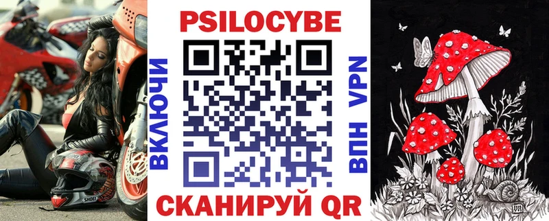 Купить  Светлогорск  Псилоцибиновые грибы GOLDEN TEACHER 